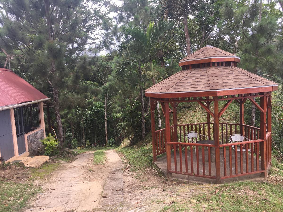 Mahogany Ridge Hotel Arouca Exterior photo