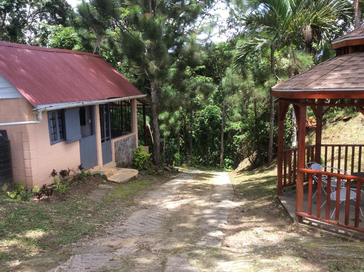 Mahogany Ridge Hotel Arouca Exterior photo
